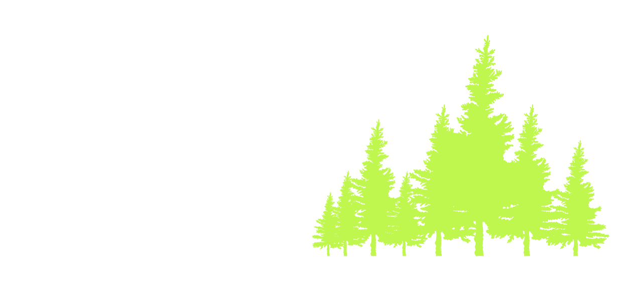 NSM-Logo-Website